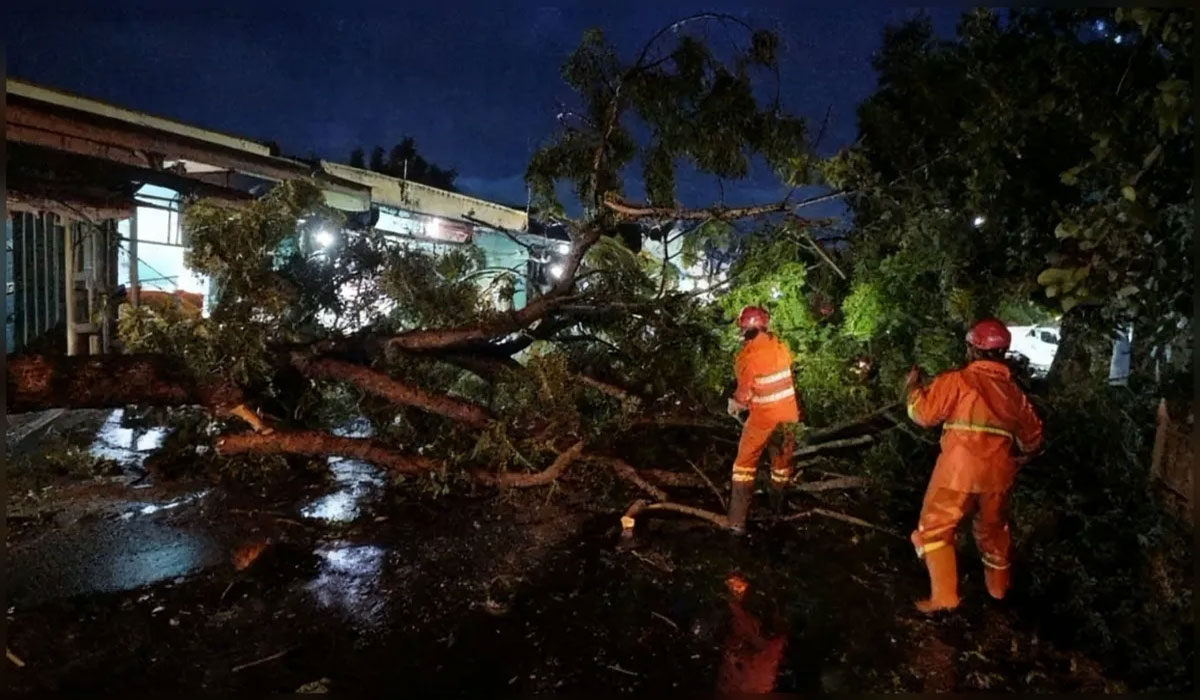 Peristiwa Mengejutkan di Nganjuk! Mushola Roboh Setelah Dihantam Pohon Tumbang Saat Hujan Angin